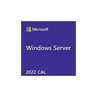 Microsoft_WS_2022_5CALs_User