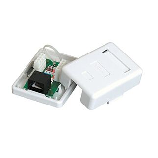 Cattex CAT6 Single Wall Box - (10 Per Pack)