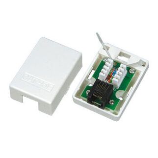 Cattex CAT5e - Single Wall Box - (10 Per Pack)
