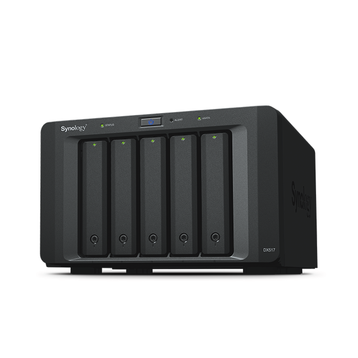 Synology - DX517