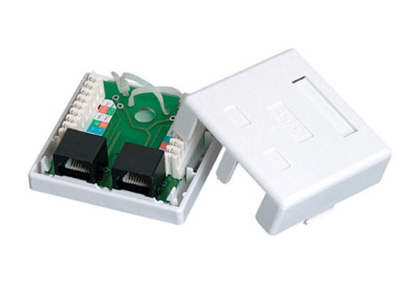 Cattex CAT5e - Double Wall Box - (10 Per Pack) | CAT5EDWB