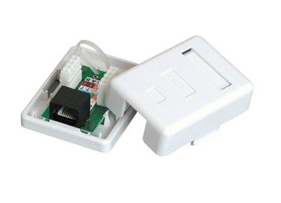 Cattex CAT6 Single Wall Box - (10 Per Pack) | CAT6SWB-L