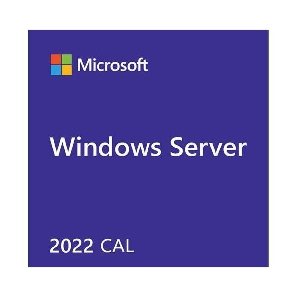 Microsoft_WS_2022_50CALs_User