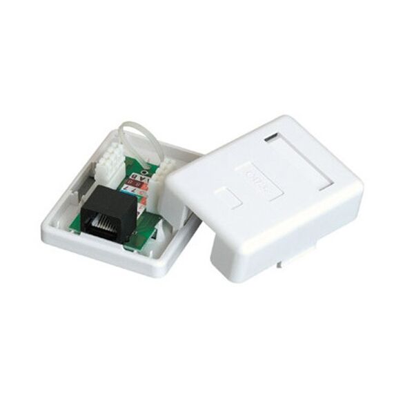 Cattex CAT6 Single Wall Box - (10 Per Pack)