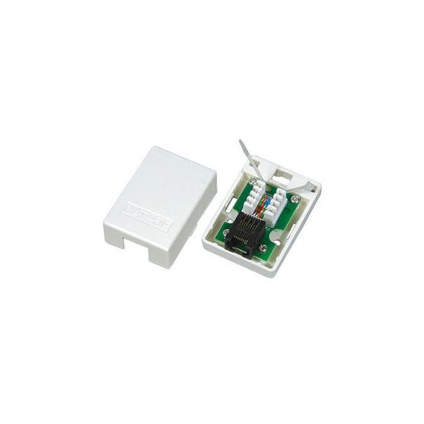 Cattex CAT5e - Single Wall Box - (10 Per Pack)